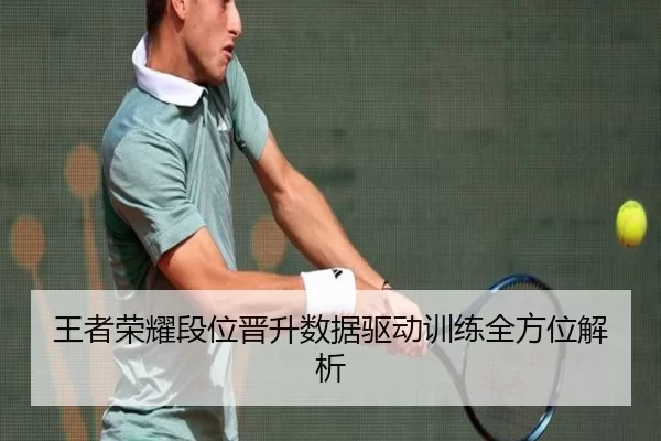 王者荣耀段位晋升数据驱动训练全方位解析